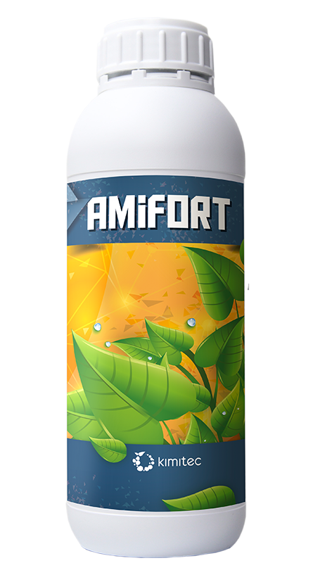 Amifort