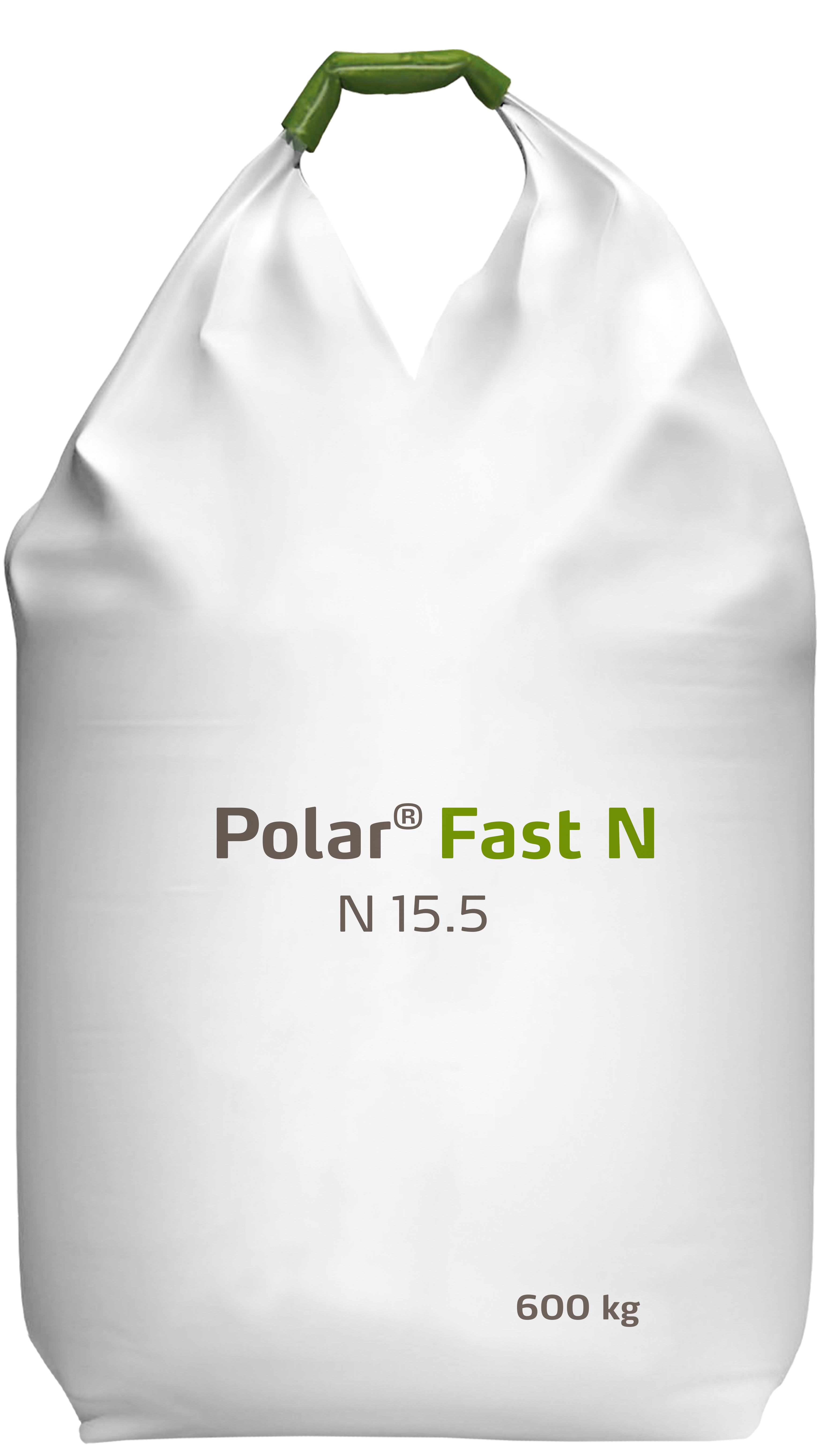 Polar Fast N 15.5